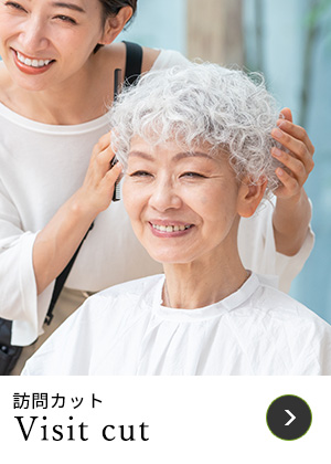 Visit cut